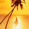 sunset sailing in paradise
